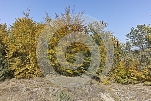 Amazing Autumn landscape of Ruen Mountain, Bulgaria