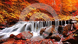 Amazing autumn landscape,  stunning nature scenery, Ukraine