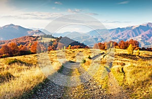 An amazing autumn panorama with a picturesque sky. Colorful autumn sunset in the Carpathians, Ukraine, Europe.