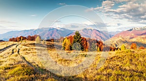 An amazing autumn panorama with a picturesque sky. Colorful autumn sunset in the Carpathians, Ukraine, Europe.