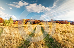 An amazing autumn panorama with a picturesque sky. Colorful autumn sunset in the Carpathians, Ukraine, Europe.