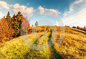 An amazing autumn panorama with a picturesque sky. Colorful autumn sunset in the Carpathians, Ukraine, Europe.