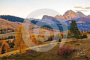 Amazing autumn scenery of Alpe di Siusi at sunrise, Dolomite Alps, Italy