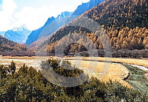 Amazing autumn season at Yading Nature Reserve in Sichuan, China