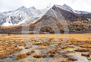 Amazing autumn season at Yading Nature Reserve in Sichuan, China