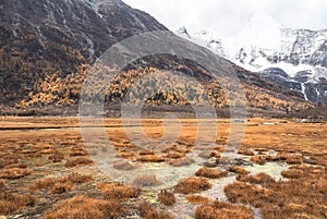 Amazing autumn season at Yading Nature Reserve in Sichuan, China