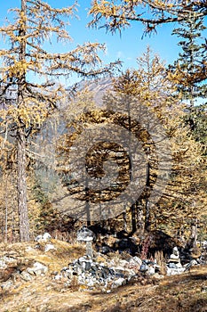 Amazing autumn season at Yading Nature Reserve in Sichuan, China