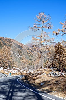 Amazing autumn season at Yading Nature Reserve in Sichuan, China