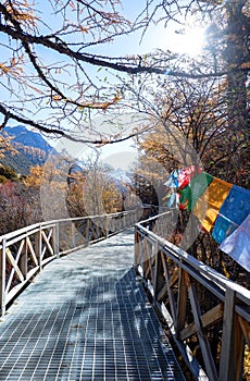 Amazing autumn season at Yading Nature Reserve in Sichuan, China