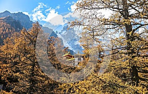 Amazing autumn season at Yading Nature Reserve in Sichuan, China