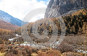 Amazing autumn season at Yading Nature Reserve in Sichuan, China