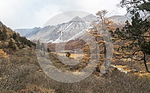 Amazing autumn season at Yading Nature Reserve in Sichuan, China