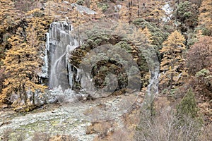 Amazing autumn season at Yading Nature Reserve in Sichuan, China