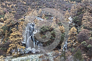 Amazing autumn season at Yading Nature Reserve in Sichuan, China