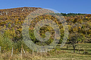 Amazing autumn view of glade, hill, forest with deciduous trees  near to pretty village Zhrebichko, Bratsigovo municipality