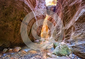 Amazing Avakas gorge, nature landscape, Cyprus