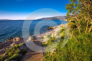 Amazing beach with crystalic clean sea water with pine trees, Istria, Croatia