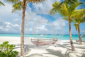 Amazing beach landscape with palm trees and ocean at luxury tropical hotel