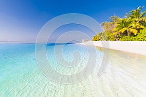 Amazing beach landscape. Tropical nature scene. Palm trees and blue sky. Summer holiday and vacation concept.