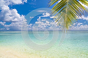 Amazing beach landscape. Tropical nature scene. Palm trees and blue sky. Summer holiday and vacation concept.