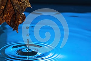 Amazing beautiful blue background. Drops making circles on water surface