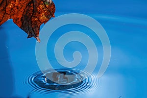 Amazing beautiful blue background. Drops making circles on water surface