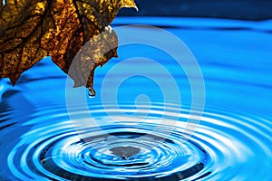 Amazing beautiful blue background. Drops making circles on water surface