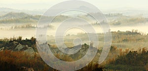 Amazing Beautiful cloud and mist with bamboo