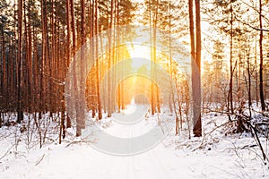 Amazing Beautiful sunset sunrise sun sunshine in sunny winter snowy