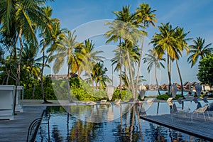 Amazing beautiful swimming pool tropical area with beach chairs and palm trees at Maldives