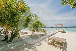 Amazing beautiful tropical beach landscape with ocean and palm trees, sunbeds at the tropical island