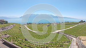 Amazing beautiful viewpoint from Lavaux, Switzerland, 20.05.20