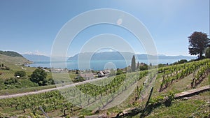 Amazing beautiful viewpoint from Lavaux, Switzerland, 20.05.20