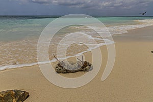 Amazing beauty Caribbean sea beach. Eagle beach Aruba island.