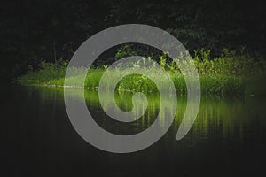 Amazing biodiversity inside the amazon jungle, woods and riveers photo