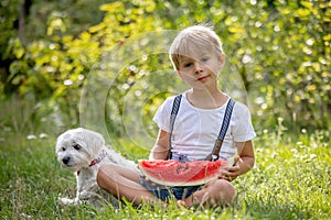 Amazing blond toddler child, boy with pet dog, eating watermelon in garden