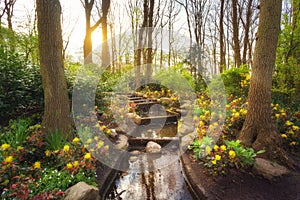 Amazing blooming spring park with water cascade