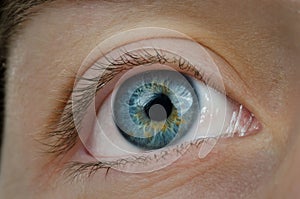 Amazing blue eye. High definition image.