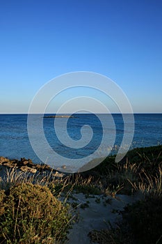 Amazing blue lagoon elafonisi beach creta island rocky cost clear waters covid-19 season holidays modern background high quality