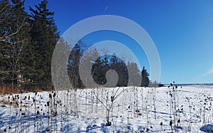 Amazing Blue Sky of Winter