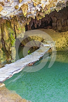 Amazing blue turquoise water and limestone cave sinkhole cenote Mexico