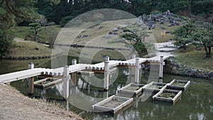 Amazing bridge architecture with trees photo