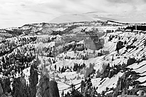 Amazing Bryce Canyon National Park landscape in monochrome