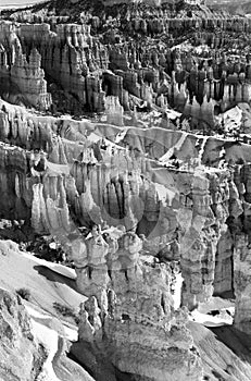 Amazing Bryce Canyon National Park landscape in monochrome