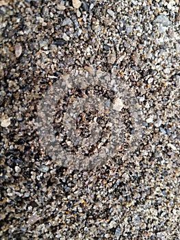 amazing close up photo of the sand