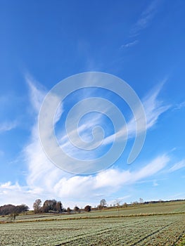 Amazing cloud formation looks like flying bird