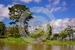 Amazing clouds at a rainforest amazon jungle amazon river