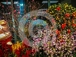 Amazing cluster of various flowers at Singapore airport. Inside view of Singapore airport. Inside view of an airport