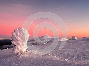 Amazing cold pink dawn over a snowy winter hill. View of the snow-covered tundra and hills. Arctic harsh nature. Mystical fairy