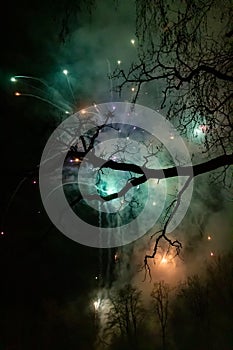 Amazing colorful fireworks on dark sky with tree. New years eve celebration. Ceske Budejovice, Czech republic